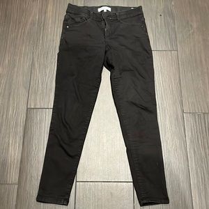 Wit & Wisdom black jeans